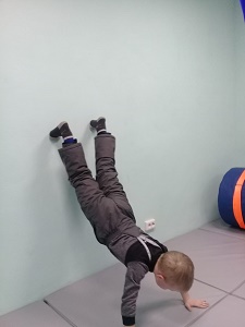 IMG 1726